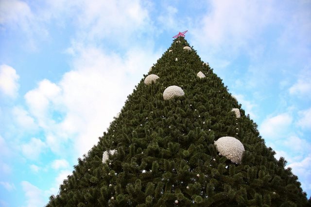 Волгоградские художники смогут украсить новогодние марки своими рисунками