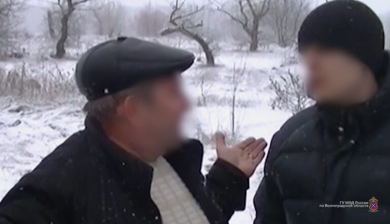 В Волгограде задержали банду «черных лесорубов» во главе с лесничим