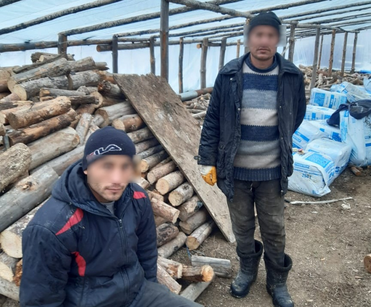 Мигрантов с оптовки в Дзержинском районе Волгограда выдворят из страны