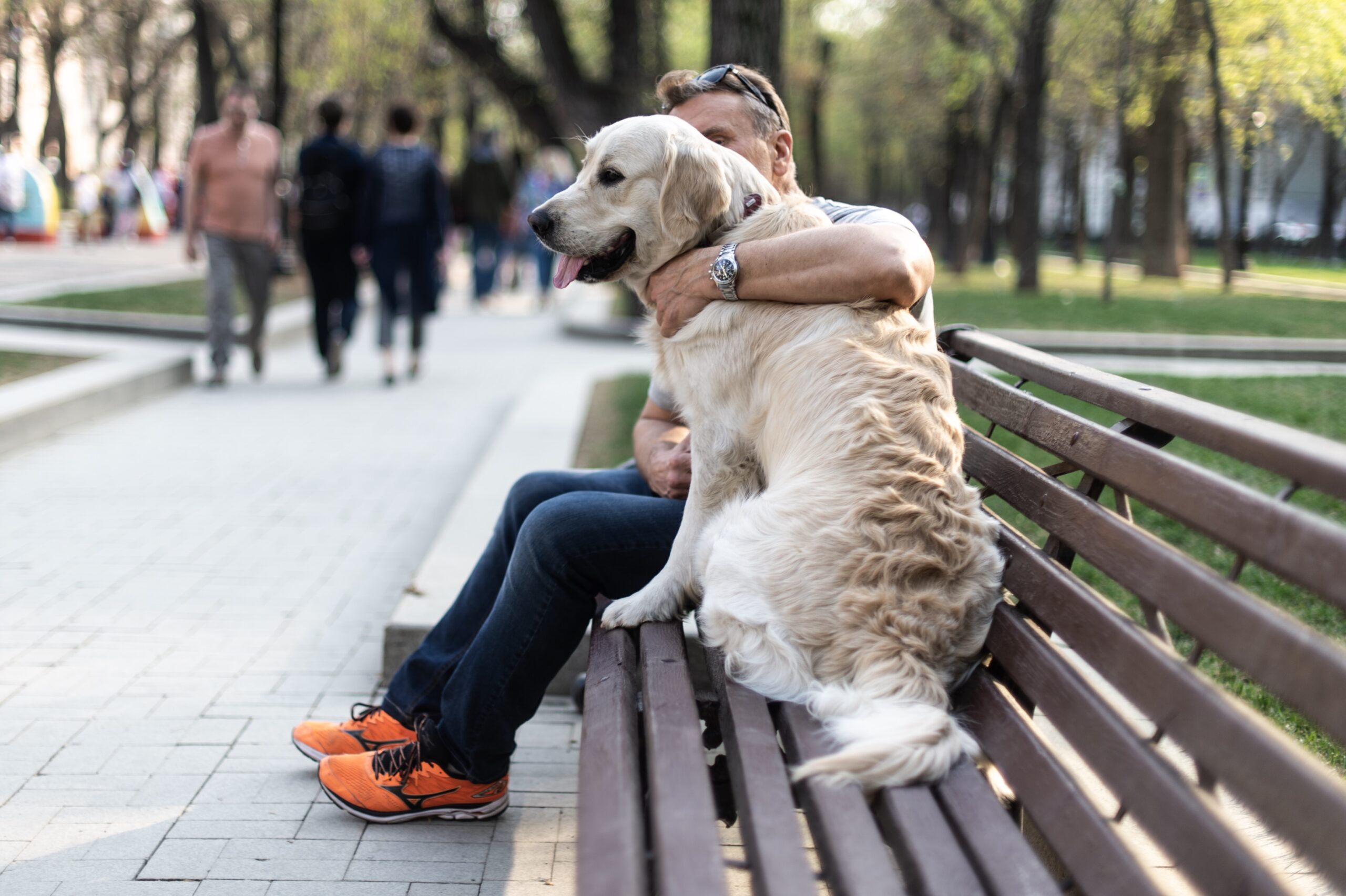 Фото прогулка с собакой в парке