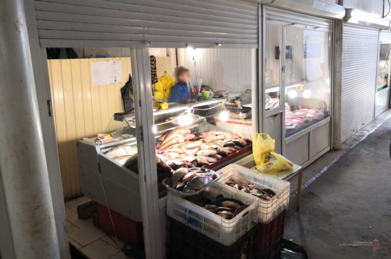 На рынке в Краснооктябрьском районе Волгограда изъяли 1,2 тонн опасной рыбы