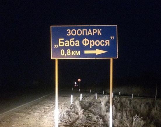 Астраханцев просят взять под опеку животных в зоопарке