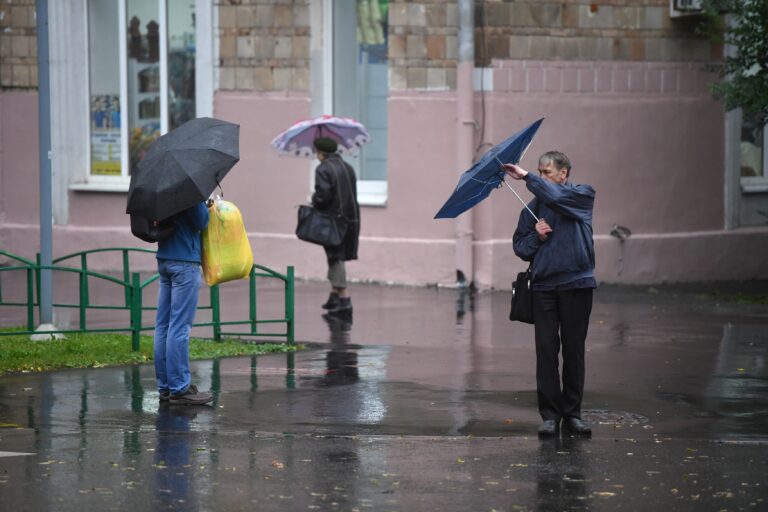 Дожди не отступят: синоптики рассказали о погоде в Волгограде в выходные