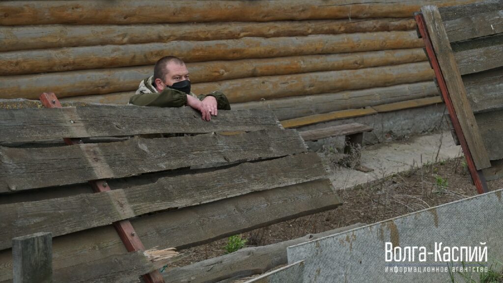 Внутри лошади: в Волгограде предприняли очередную попытку снести конюшни «Соснового бора»