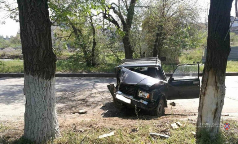 Пожилой водитель «ВАЗа» скончался после столкновения авто с деревом