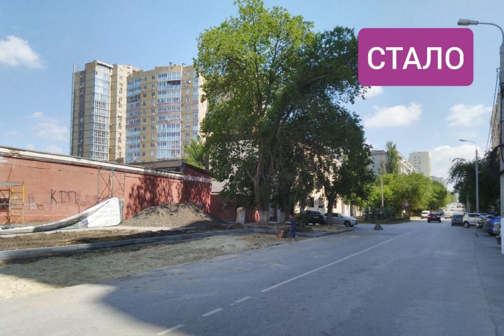 В Волгограде хотят добиваться возвращения вырубленных под парковку деревьев