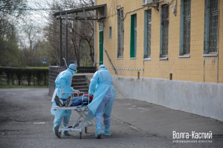 В России суточное число зараженных коронавирусом падает, а в Волгоградской области растет
