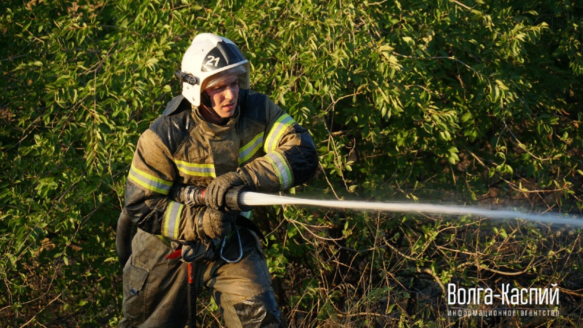 Огонь подкрался к стеле «Волгоград»: пожарным удалось спасти въездной знак