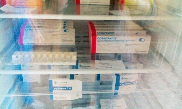 В Волгоградскую область завезли первую партию вакцины «Совигрипп»