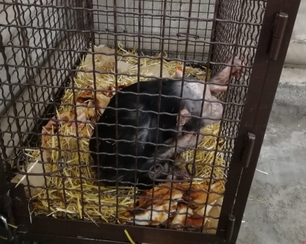 Под Волгоградом инспекторы ДПС спасли от гибели шимпанзе