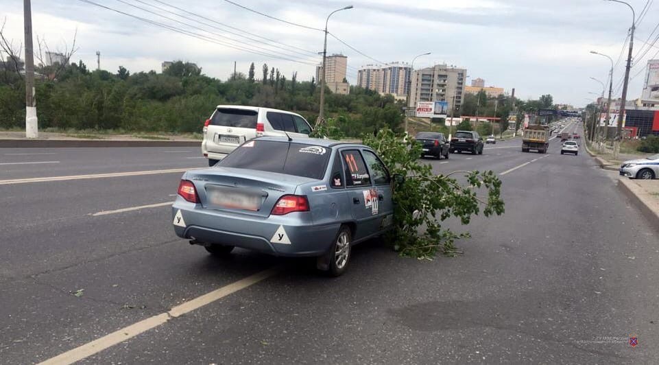 В Волгограде упавшая на авто ветка ранила водителя