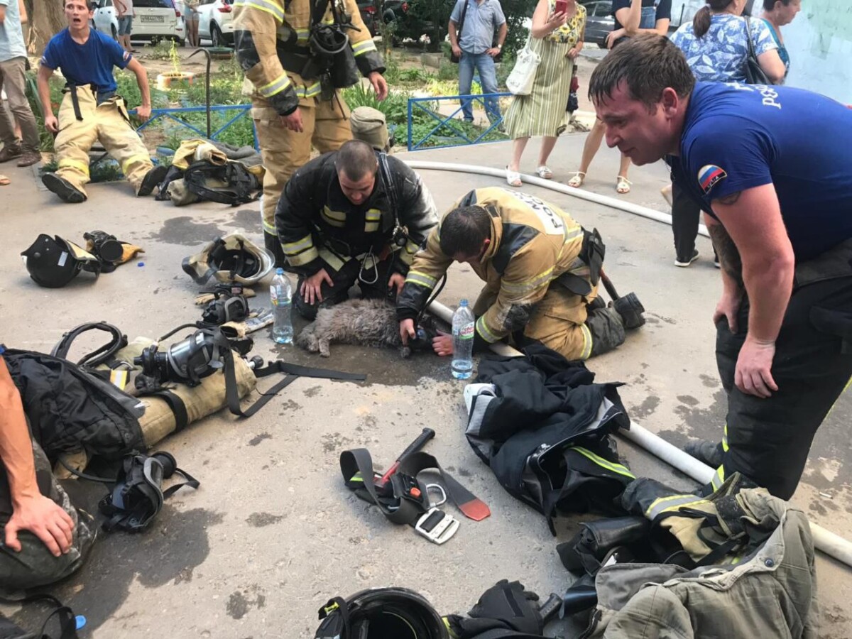 Есть погибший: в Волгограде из-за крупного пожара эвакуировали жителей многоэтажки