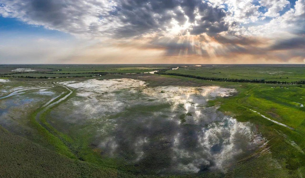 В дельте Волги в Астраханской области усугубляются проблемы экологии