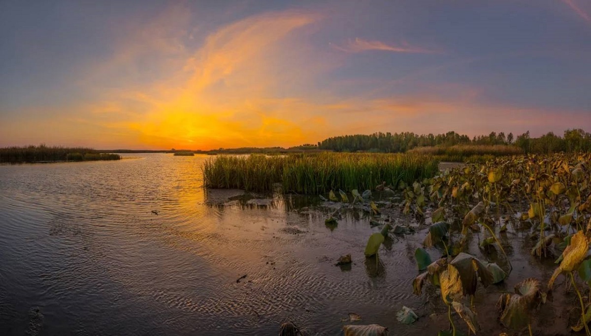 В дельте Волги в Астраханской области усугубляются проблемы экологии
