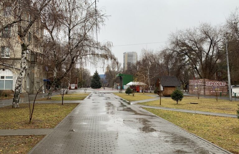Декабрь в Волгоградской области начнется с дождя и снега