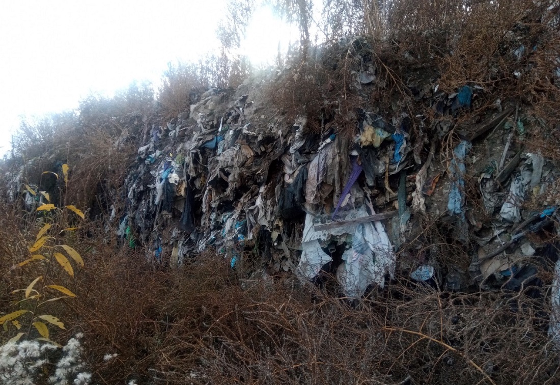 Шокирующие фото из Урюпинска: как власти Волгоградской области врут про успехи нацпроекта «Экология»