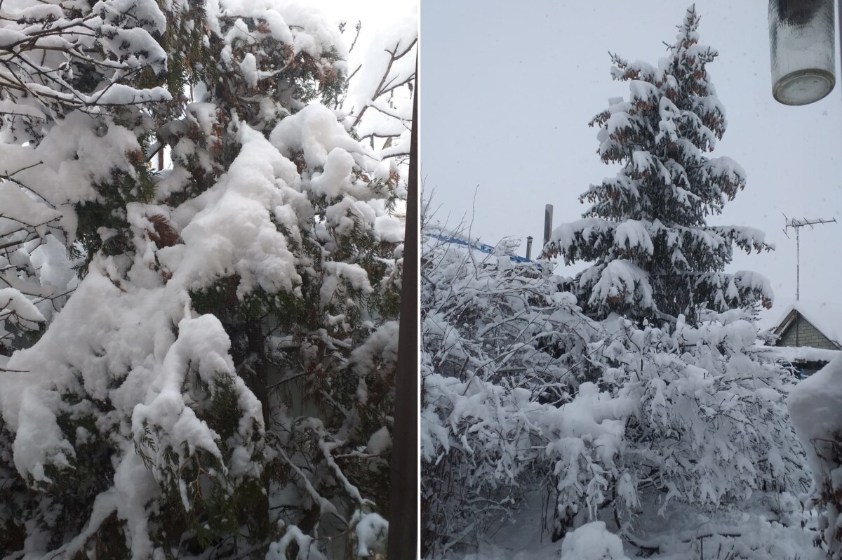 Несколько районов Волгоградской области завалило снегом