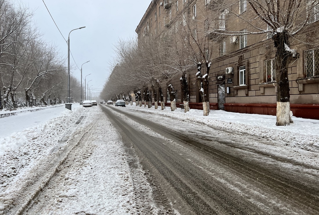Утром 1 января у администрации Волгоградской области навели лоск