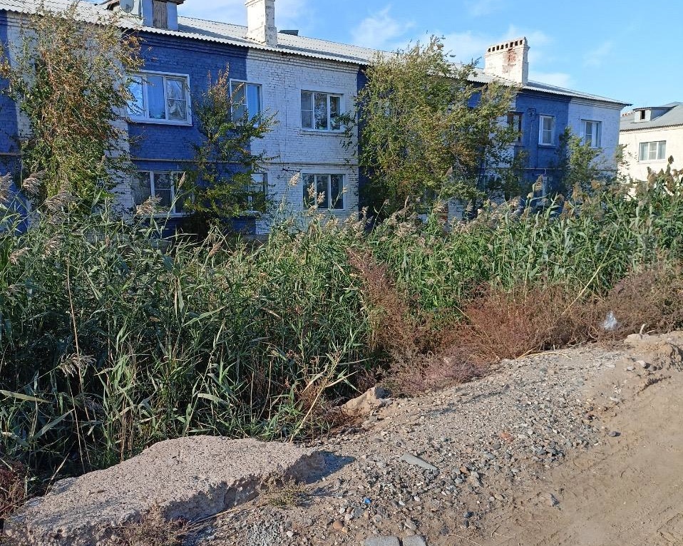 Под Астраханью МБУ «Приволжский район» привлекли к ответственности за загрязненную фекалиями почву