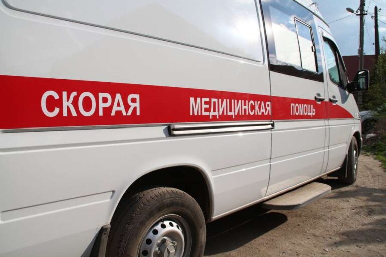Мыши атакуют: жители дома в Гольяново боятся эпидемии хантавируса после шокирующих мировых новостей