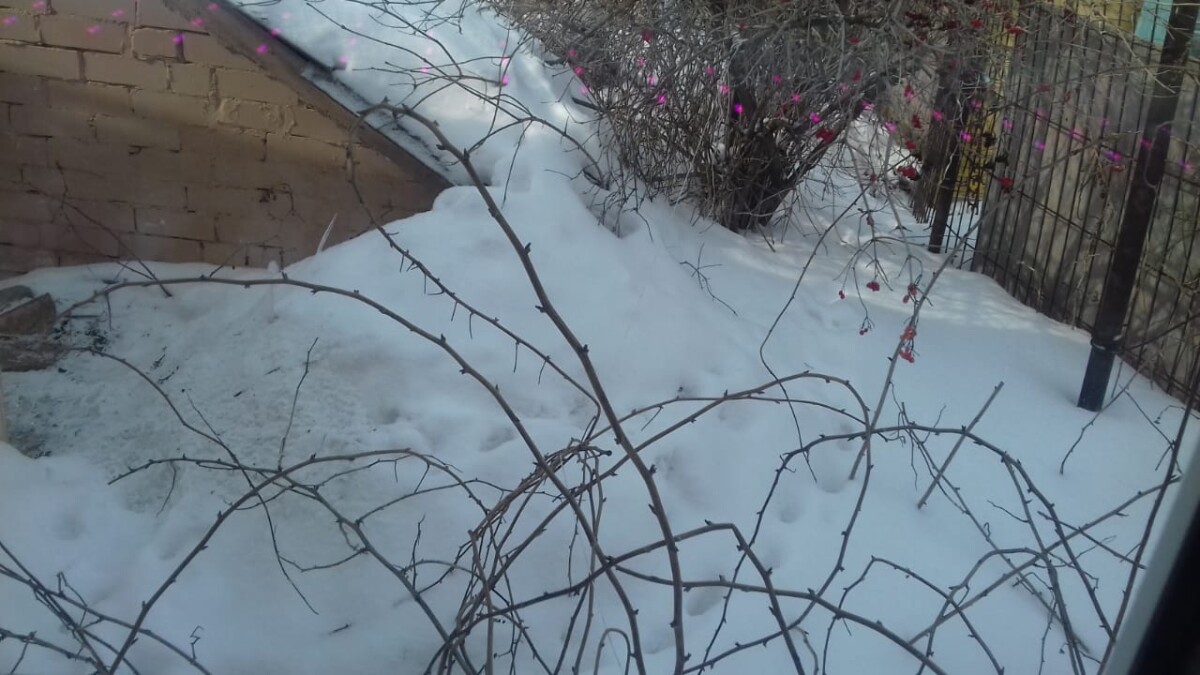 Север Волгоградской области завалило мартовским снегом