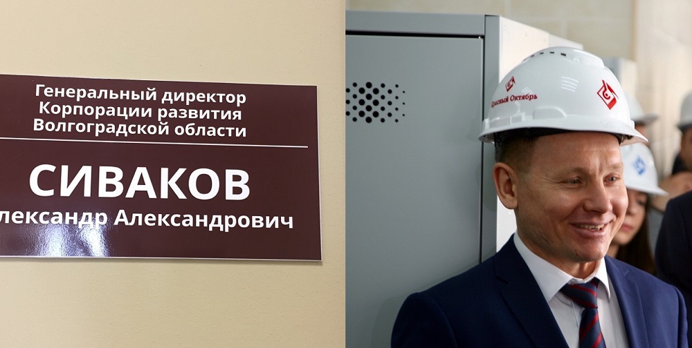 Чиновница из мэрии возглавила корпорацию развития Волгоградской области