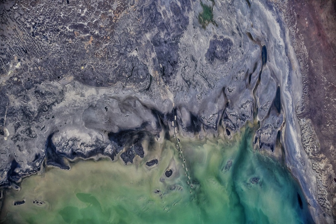 Цветущее зеленое Каспийское море показали из космоса