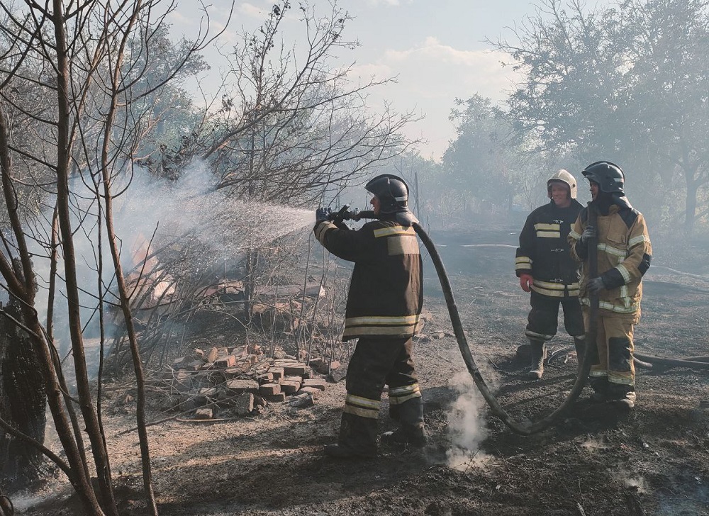 Шесть строений сгорели в Волгограде из-за ландшафтного пожара