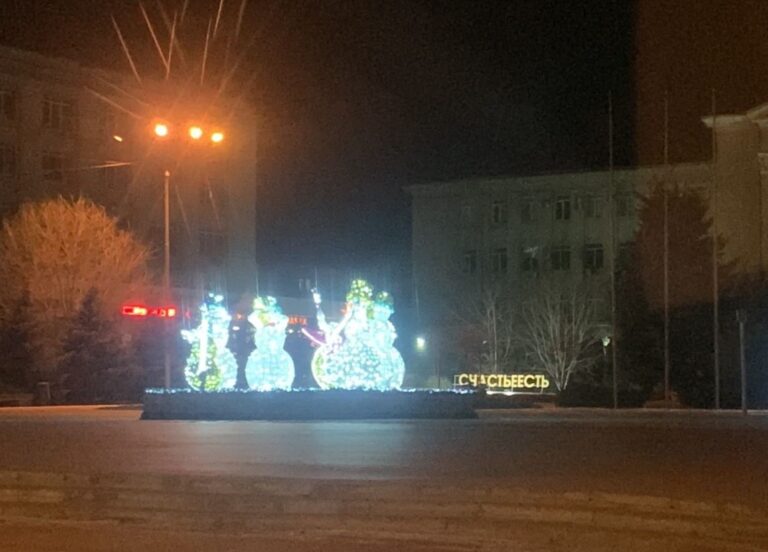 В Волгограде стартовал монтаж новогодних елей