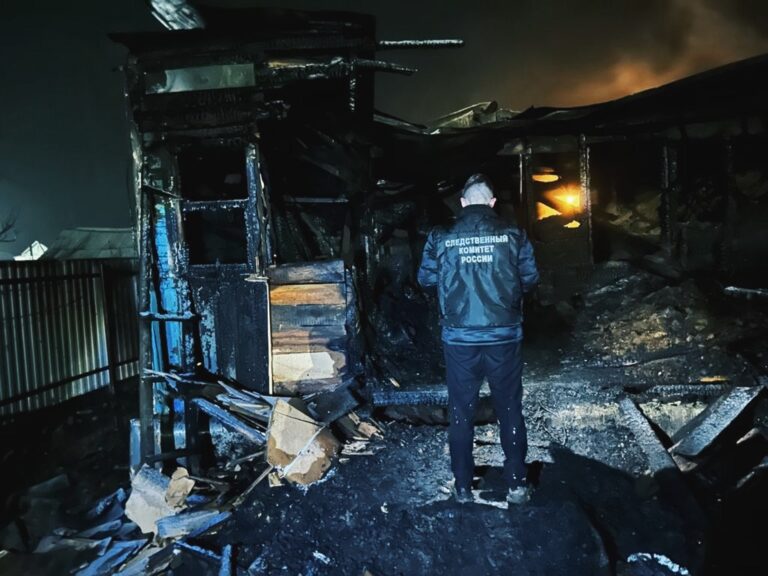 В результате пожара в Котельниковском районе погибли двое детей