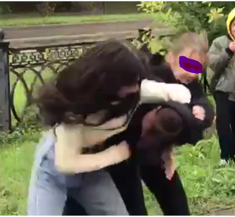 Волгоградская полиция опередила распространившиеся видеозаписи с правонарушениями подростковой группы девочек в интернете и пресекла их