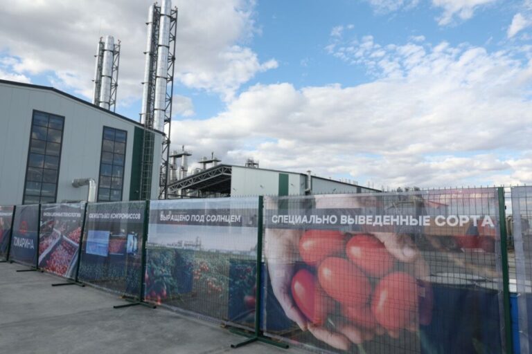 В Астраханской области открыли второй завод по производству томатной пасты