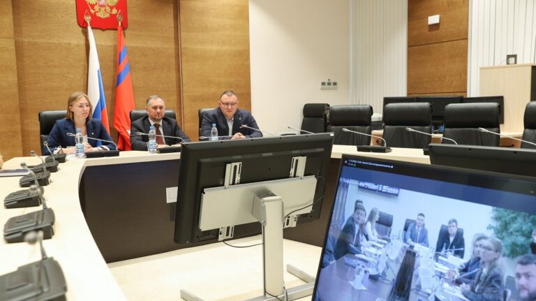 В Госдуме прошло заседание Молодежного парламента