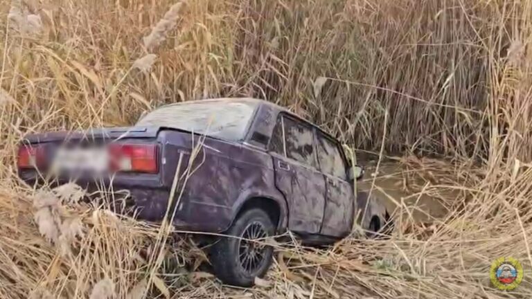 Трагедия в Волгограде: два подростка погибли при падении авто в реку