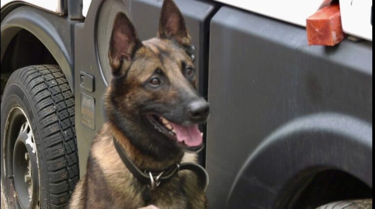 В Волгограде росгвардейцы провели занятия с сотрудниками транспортной полиции