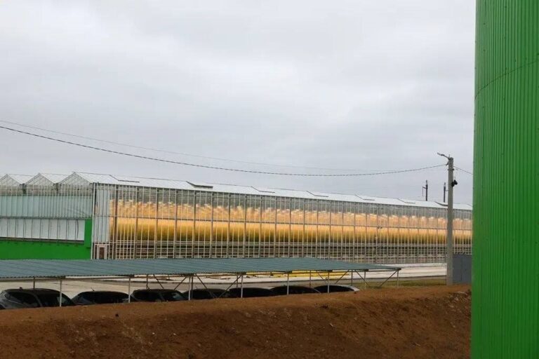 Астраханская область на 8-м месте в России по объему инвестиций в основной капитал