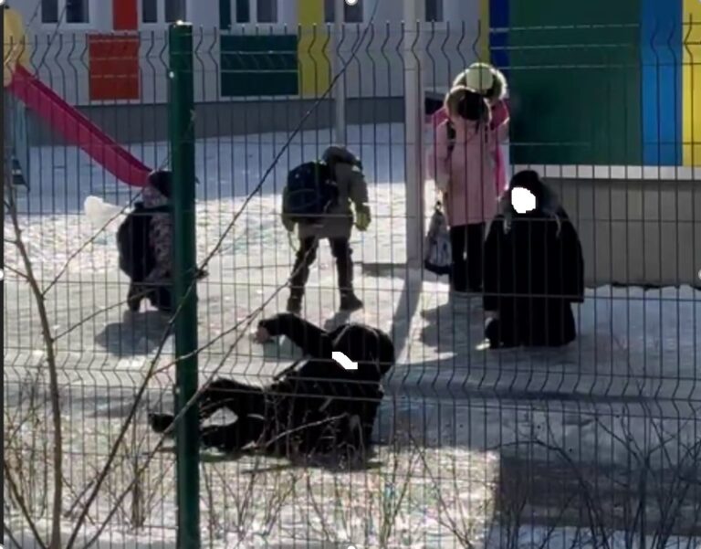 Волгоградские школы проигнорировали опасность гололёда