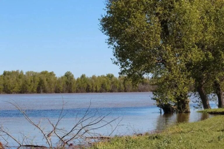 В Астраханской области проходит лучшее за последние годы половодье