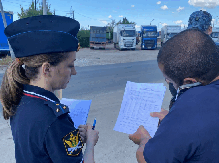Волгоградец выплатил алименты после ареста автомобиля